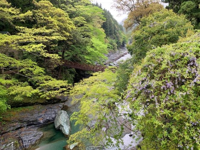 Iya Kankou Ryokan Miyoshi  Exteriör bild