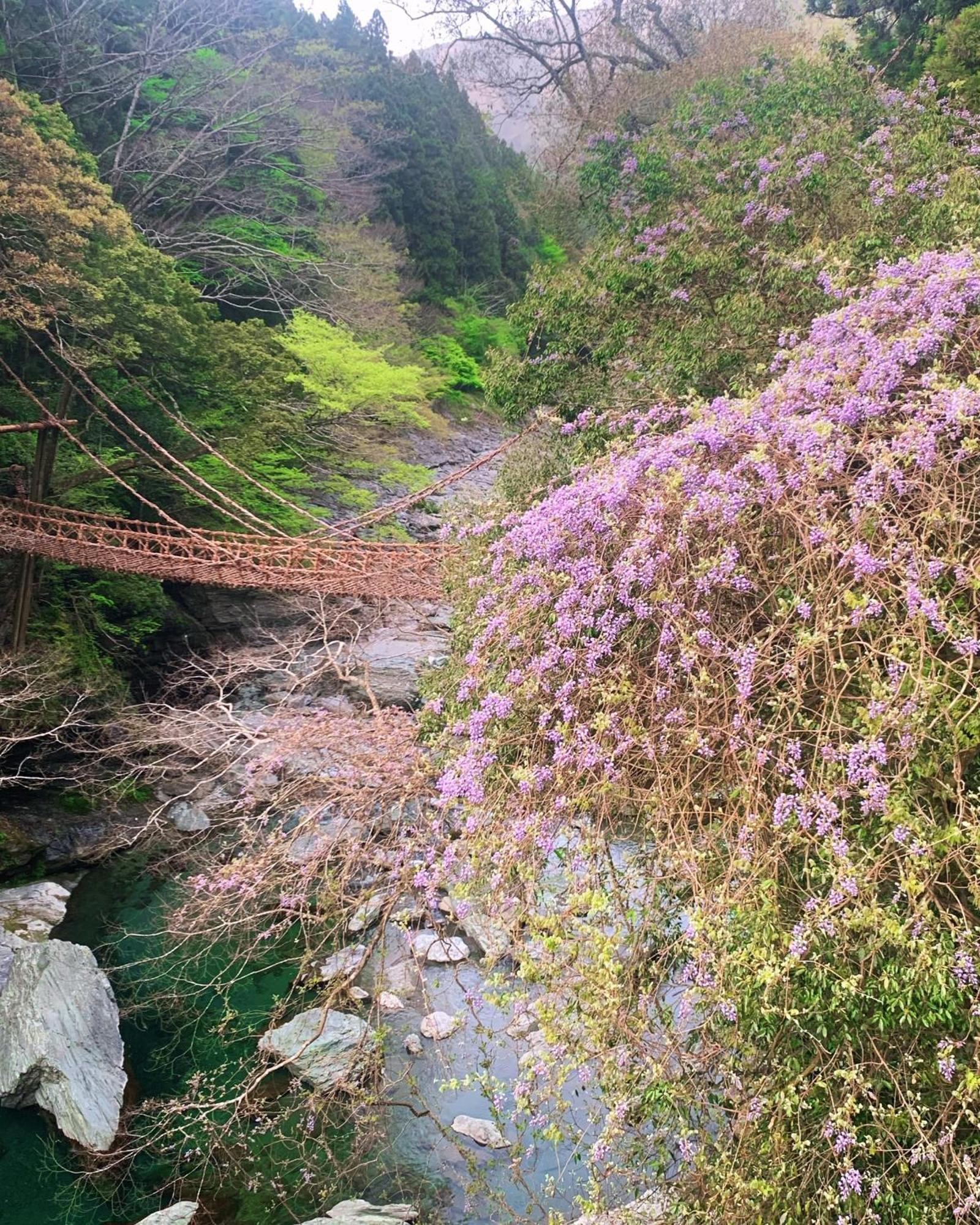 Iya Kankou Ryokan Miyoshi  Exteriör bild